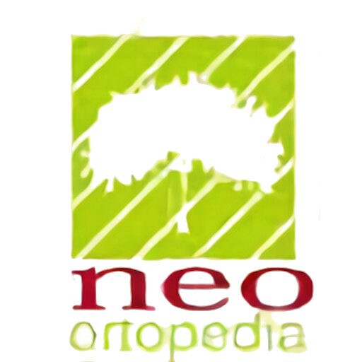 Neo Ortopedia Diadema - Núcleo Especializado em Ortopedia logo
